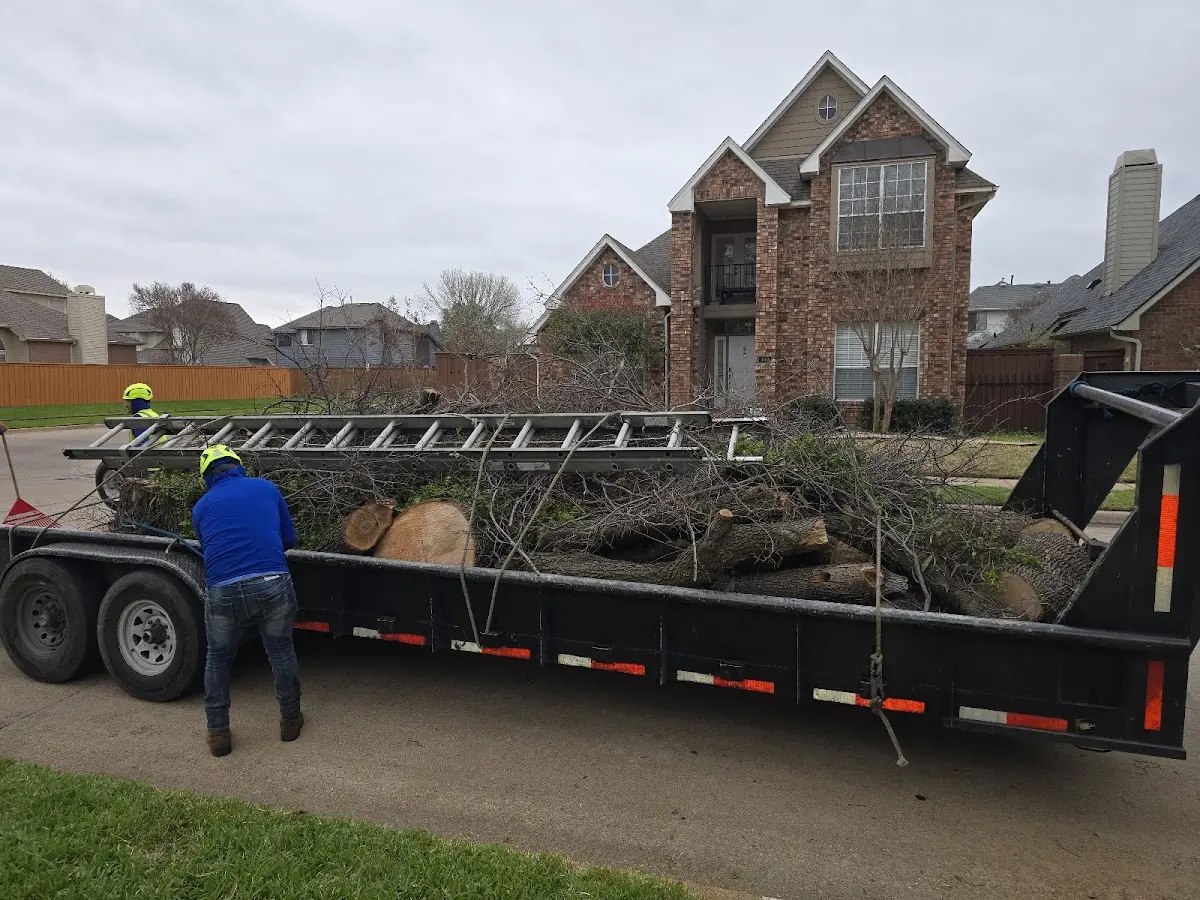 Expert Crown Reduction with proper safety equipment in Oakdale